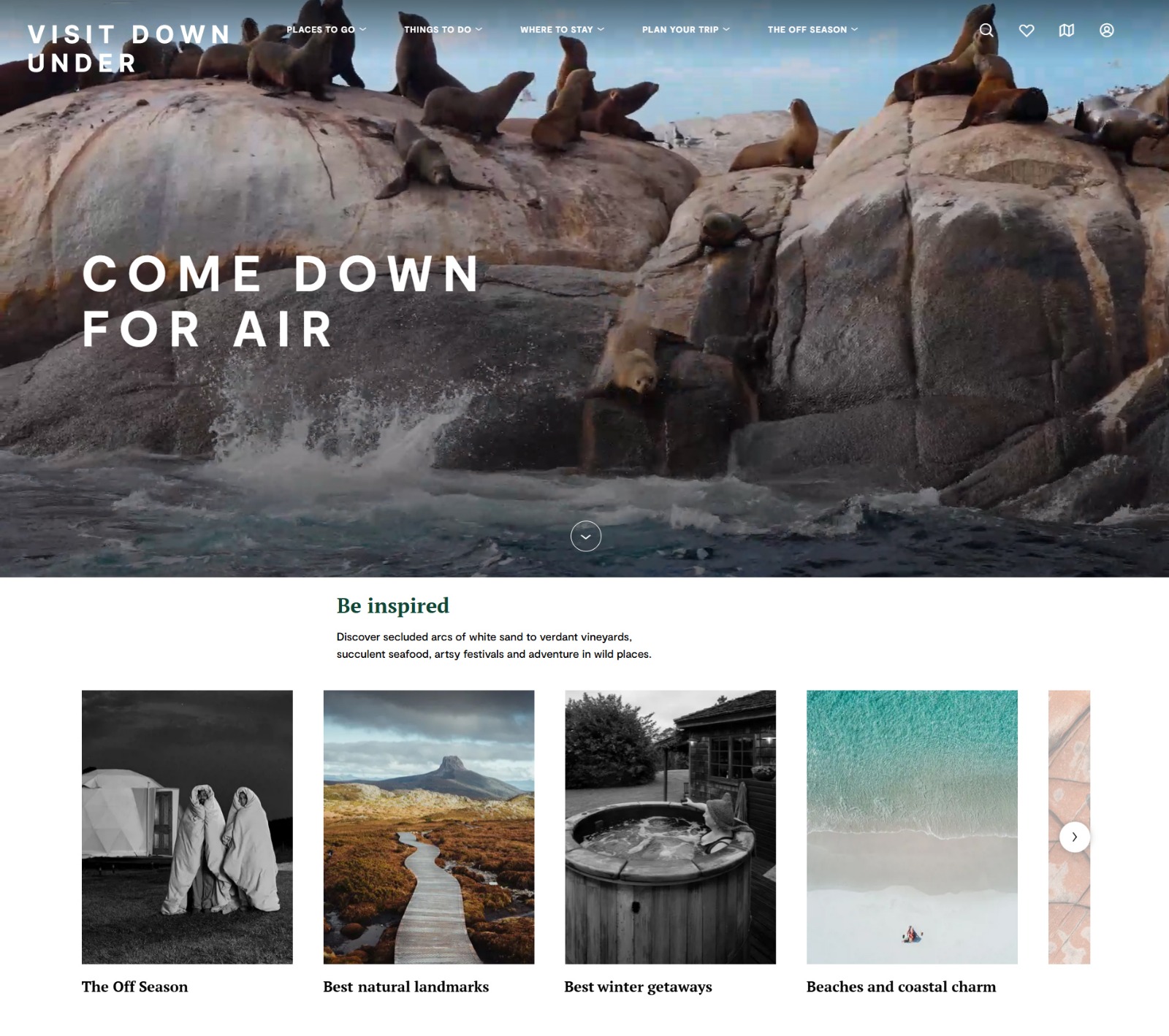 Image of a fully developed website